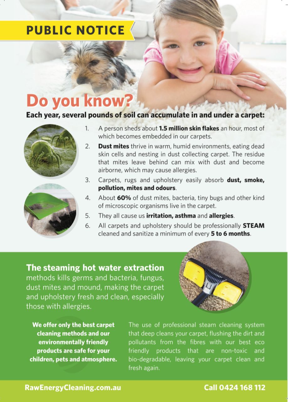 Raw-Energy-Cleaning-Flyer2