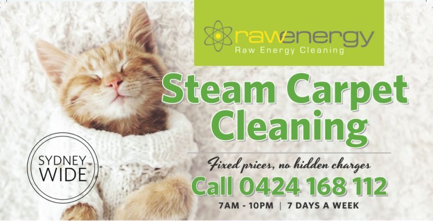 cropped-Raw-Energy-Cleaning-Flyer1.jpg